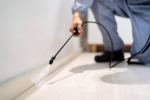 Licensed Fumigation Services service in Perezville, TX - Nex Pest Control