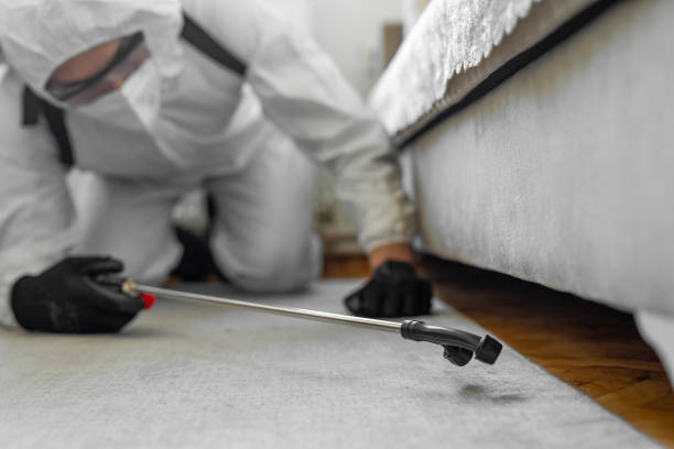 Professional Fumigation Services technician working in Perezville, TX