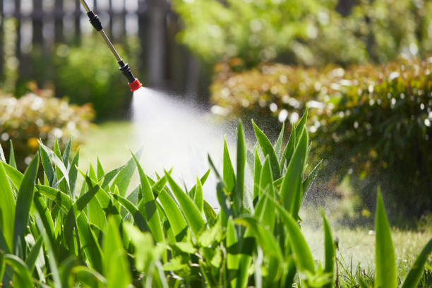 24/7 Emergency Fumigation Services experts in Perezville, TX