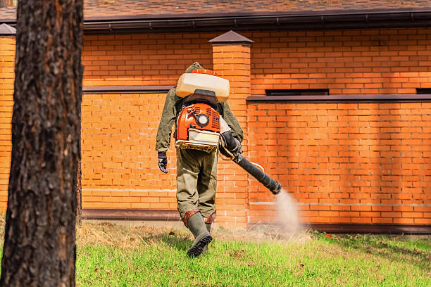 Trusted Bed Bug Control service in Perezville, TX - Nex Pest Control